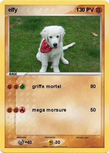 Pokemon elfy