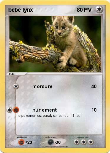 Pokemon bebe lynx