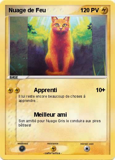 Pokemon Nuage de Feu