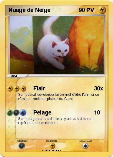 Pokemon Nuage de Neige