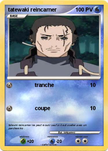 Pokemon tatewaki reincarner