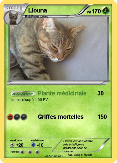 Pokemon Llouna