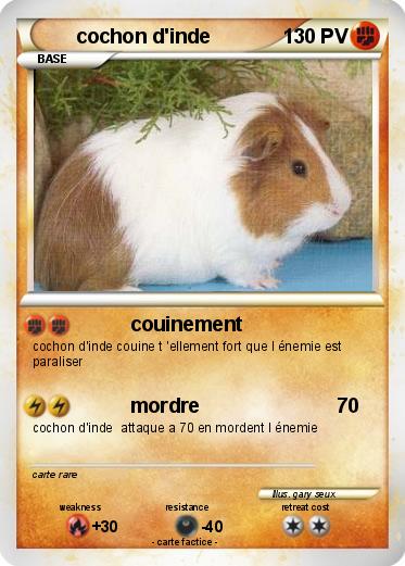 Pokemon cochon d'inde