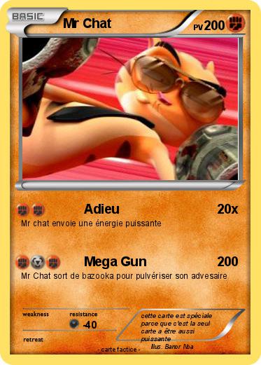 Pokemon Mr Chat