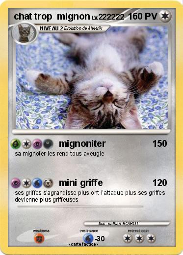 Pokemon chat trop  mignon