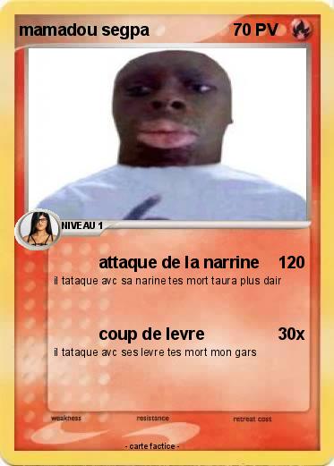 Pokemon mamadou segpa