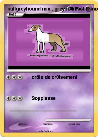 Pokemon bullgreyhound mix , greybullmastiff mix simanimal cartoon