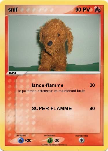 Pokemon snif