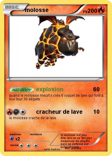 Pokemon molosse