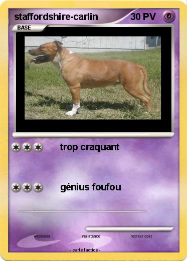 Pokemon staffordshire-carlin