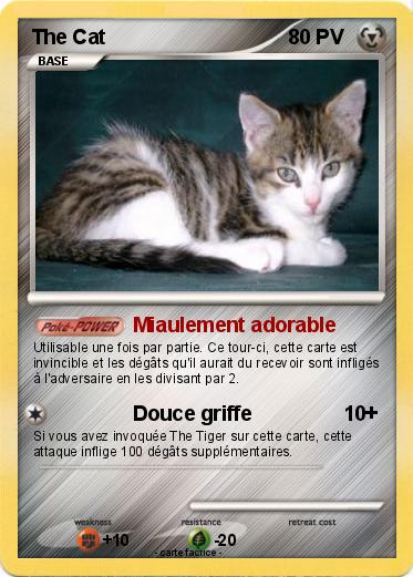 Pokemon The Cat