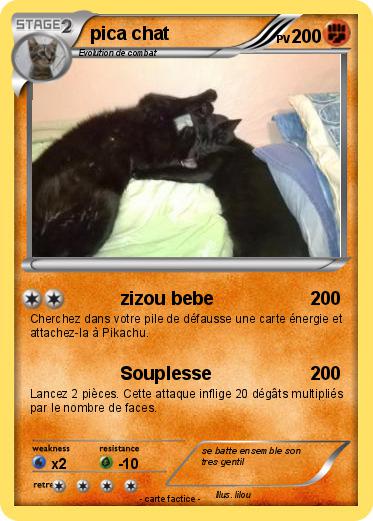 Pokemon pica chat