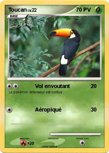 Pokemon Toucan