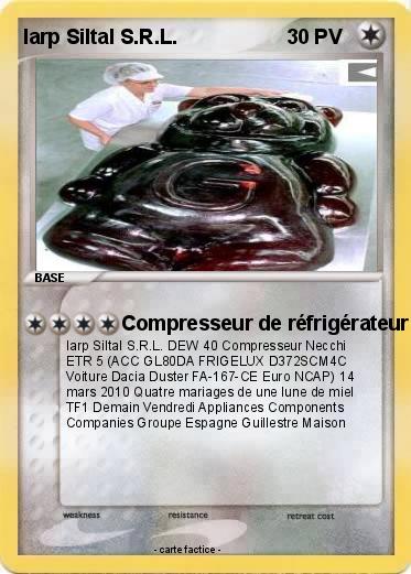 Pokemon Iarp Siltal S.R.L.