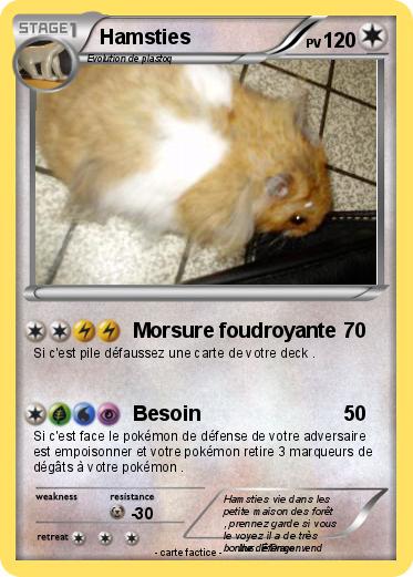 Pokemon Hamsties