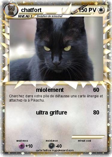 Pokemon chatfort