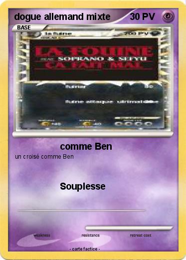 Pokemon dogue allemand mixte