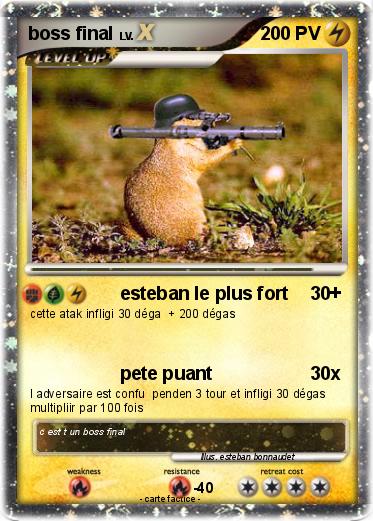 Pokemon boss final