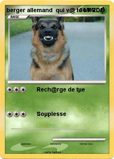 Pokemon berger allemand  qui v@ te M0RDE