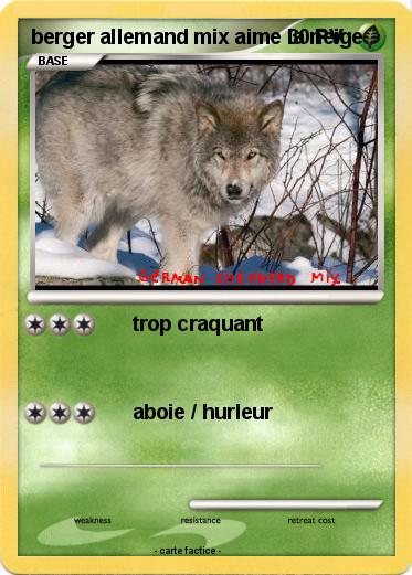 Pokemon berger allemand mix aime la neige