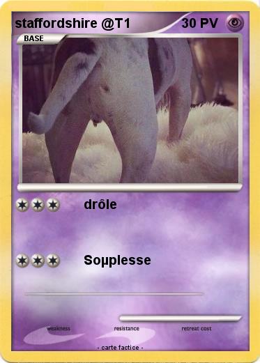 Pokemon staffordshire @T1