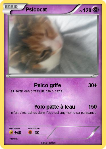 Pokemon Psicocat