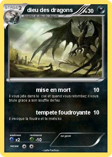 Pokemon dieu des dragons