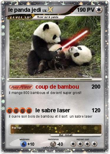 Pokemon le panda jedi