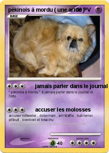 Pokemon pékinois à mordu ( une arme )