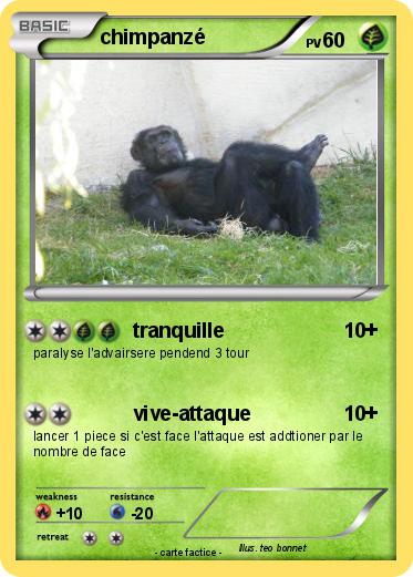 Pokemon chimpanzé