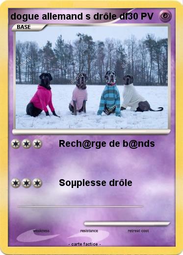 Pokemon dogue allemand s drôle df