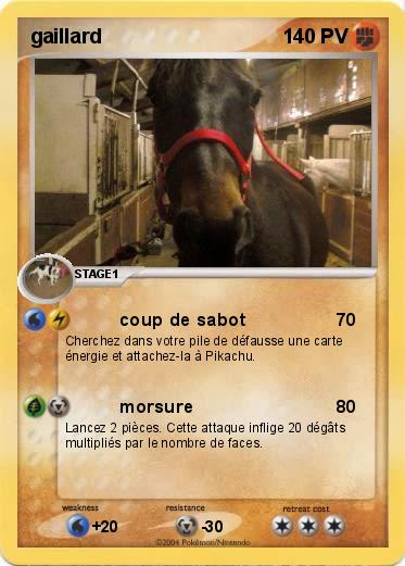 Pokemon gaillard