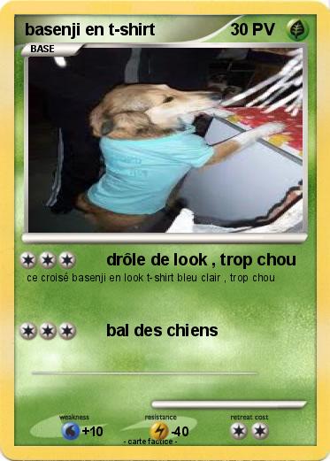 Pokemon basenji en t-shirt