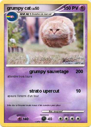 Pokemon grumpy cat