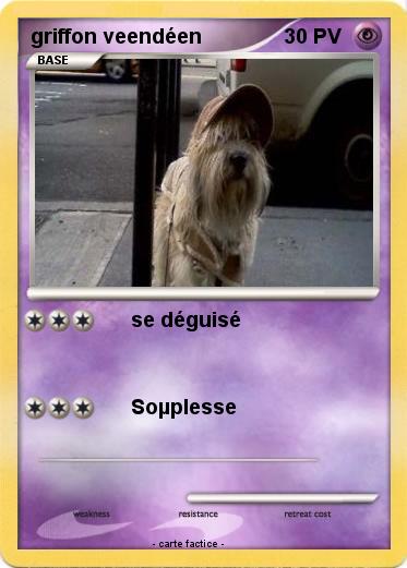 Pokemon griffon veendéen