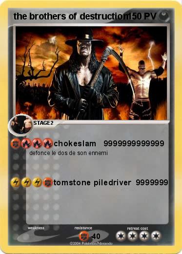 Pokemon the brothers of destruction