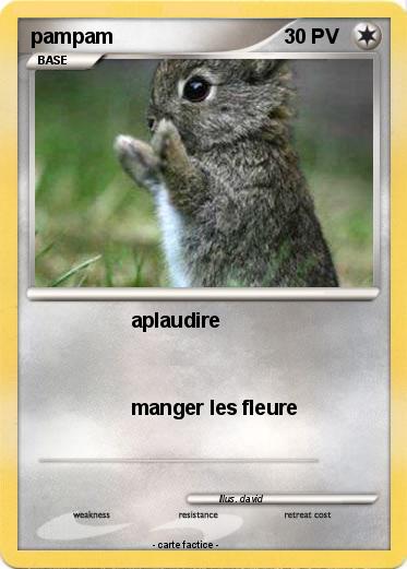 Pokemon pampam
