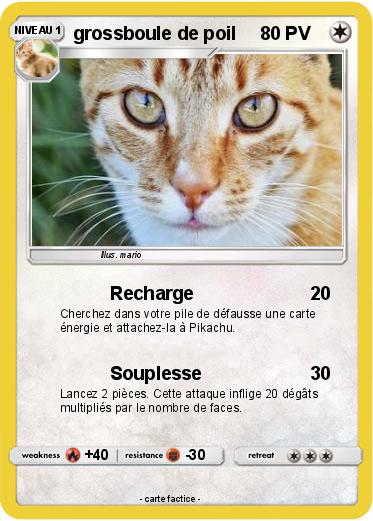 Pokemon grossboule de poil