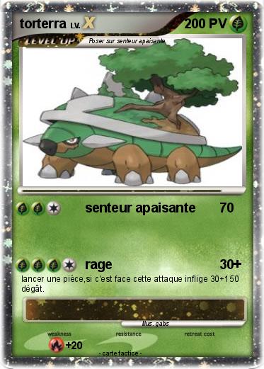 Pokemon torterra