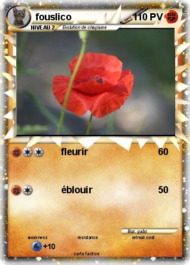 Pokemon fouslico