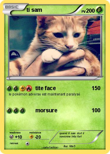 Pokemon ti sam
