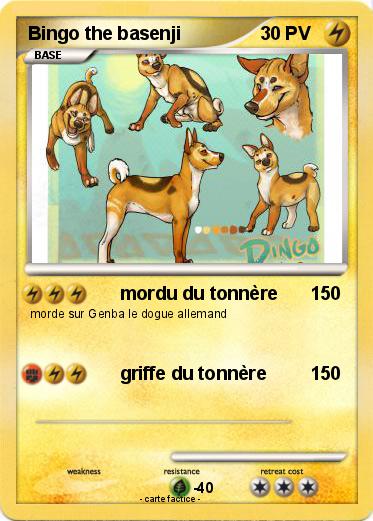 Pokemon Bingo the basenji