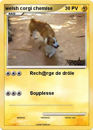 Pokemon welsh corgi chemise