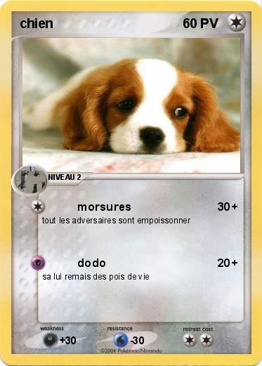 Pokemon chien