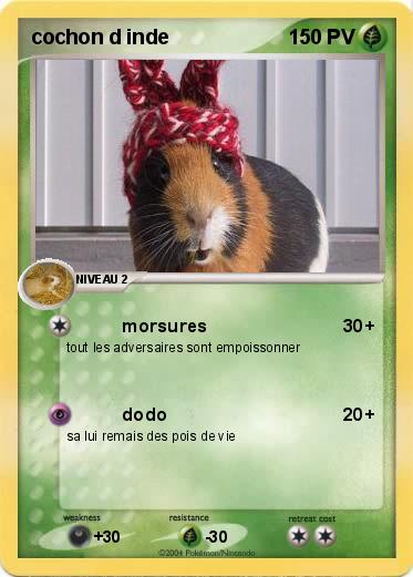 Pokemon cochon d inde