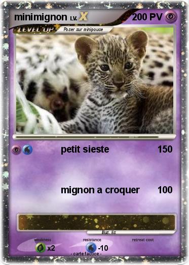 Pokemon minimignon