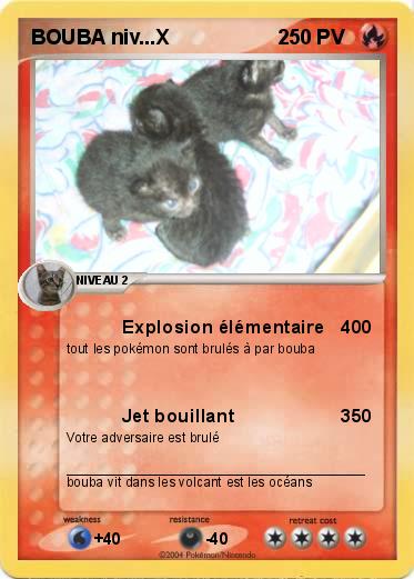 Pokemon BOUBA niv...X                   2
