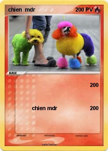 Pokemon chien  mdr