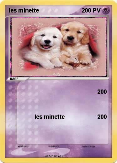 Pokemon les minette