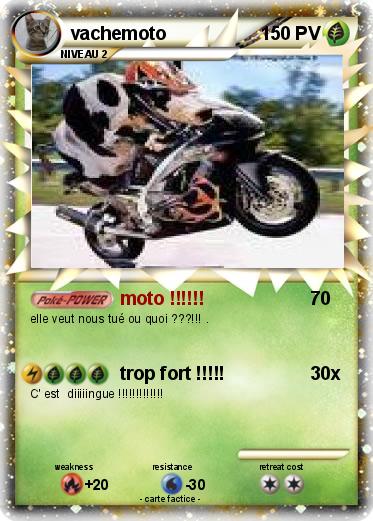 Pokemon vachemoto